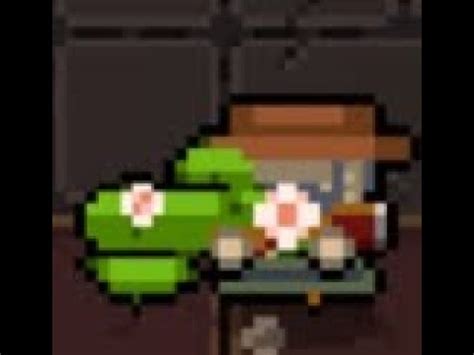 enter the gungeon cactus.